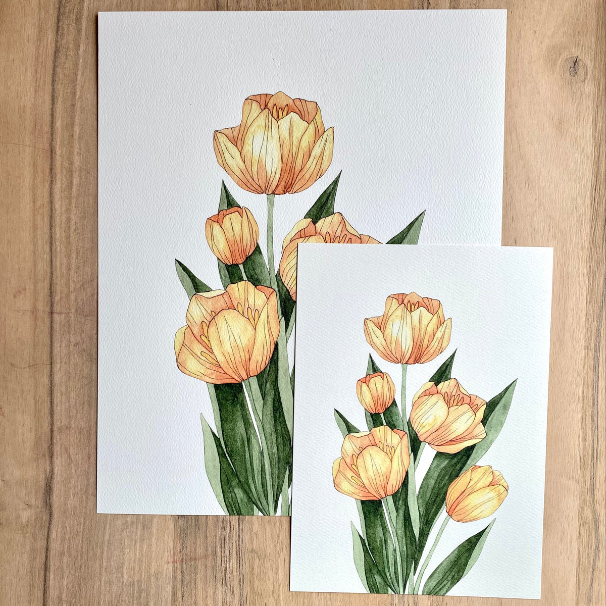 Yellow Tulips - Print