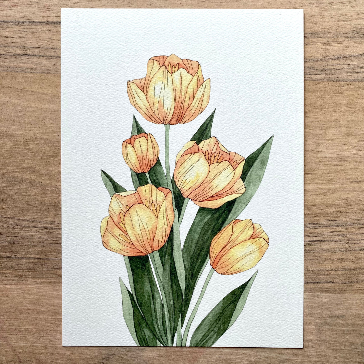 Yellow Tulips - Print