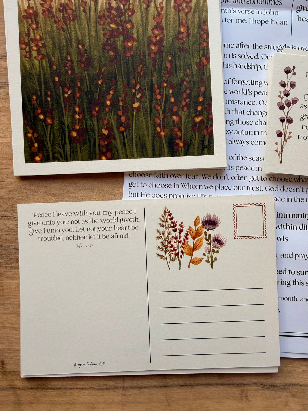 October 2026 Edition - The Still Waters Post