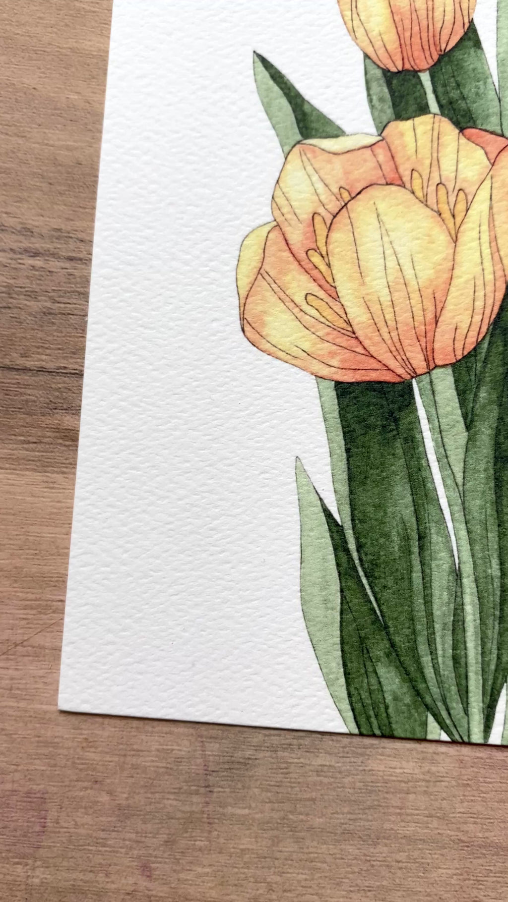 Yellow Tulips - Print
